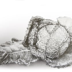 “KOHL ” – Graphit
