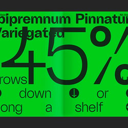Yearbook of Type #7—Plant Edition
