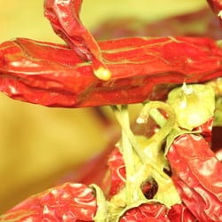 Peperoni Red…10