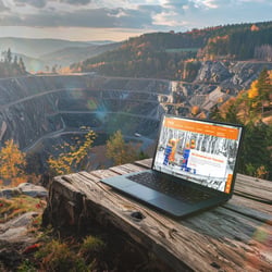 Fels GmbH, Corporate Website