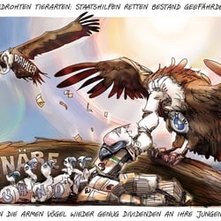 20210519 Assgeier Stefan Fichtel