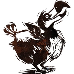 Dodo