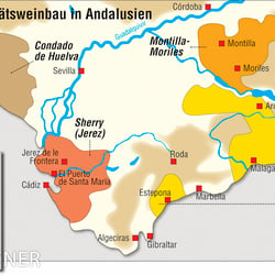 Qualitätsweinbau in Andalusien