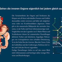Anatomie