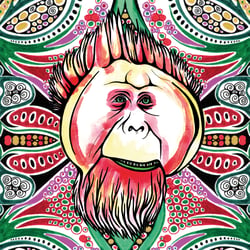 Monkeyhead 1, fineartprint 30 × 30 cm (variable)