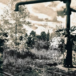 1988 Schiene im Wald –  jetzt Hauptbahnhof Berlin