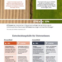 Idee, Konzept, Text: Infografik Migration SAP S/4HANA