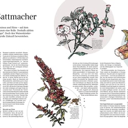Studio ZX GmbH Pflanzenillustration für das Off the bench Magazine