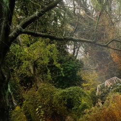 In der goldenen Jahreszeit fotografiert und nachbearbeitet.