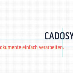 Cadosys Signet Slogan Vermassung