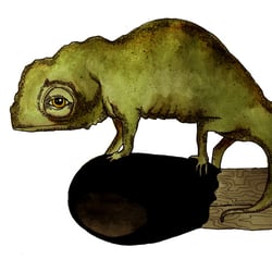 kameleon utan