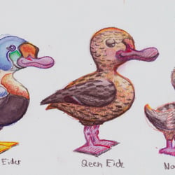Character Design: Familie Eider