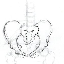 Beckenstudie