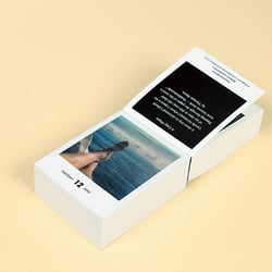 photodarium 2018 19
