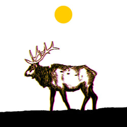 Wanderer