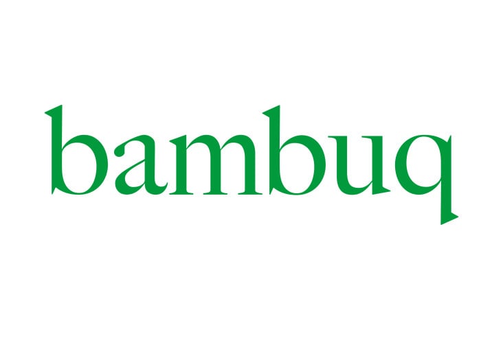 Logo bambuq