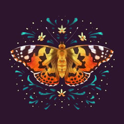 Painted Lady Butterfly