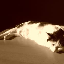 Bastet in Sepia No. 08