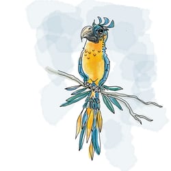 Papagei/Parrot