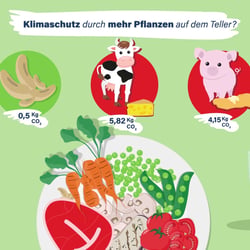 ProVeg: Klimafreundliche Ernährung in Schulen