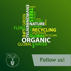 Social Media Post Design Typographie