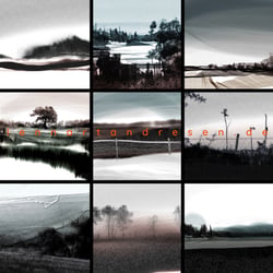 MOOR LANDSCHAFT