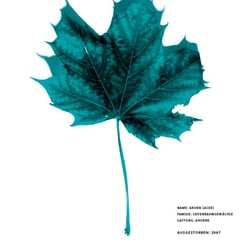 Plakat- „The Cave“