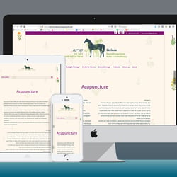 Website Equine Acupuncture