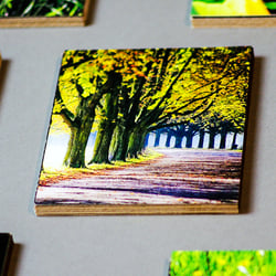 Fotoausstellung 2015