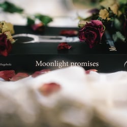 Moonlight Promises Book