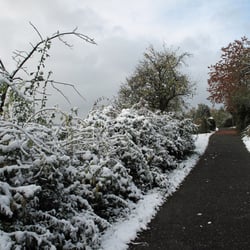 der erste Schnee 2012