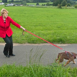 - merkel impossible –  gassi-gehen b