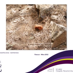 Portfolio 2013 23
