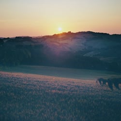 Sonnenuntergang Ancona