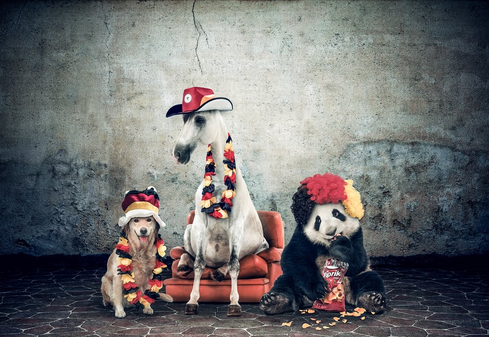Bildcomposing „tierisch gute Fans“