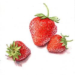 Erdbeeren – Aquarell