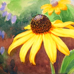 Sonnenhut – Aquarell und Gouache