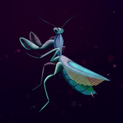 mantis