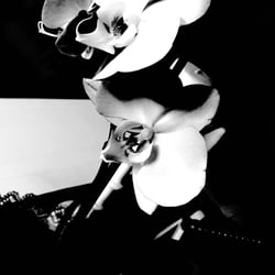 Flower Power / 2022