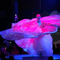 Eventfotografie – alinea.design