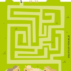 Rätsel für Kinder Schafe