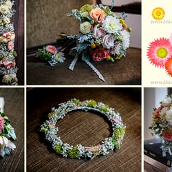 Wedding FrostSalmonGreenOrange kl wz