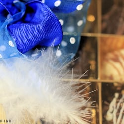 foto-180 930×620
