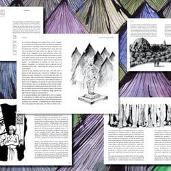 portfolio misto3-4