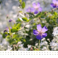 April