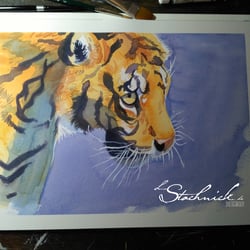 Tiger 21 × 30 cm