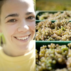 Uvas 18