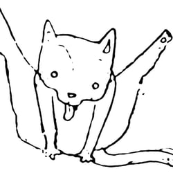 Katzenwäsche