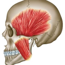 Zahntechnische Illustration