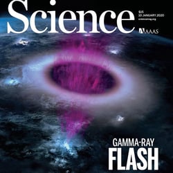 Elve Illustration for Science Magazine